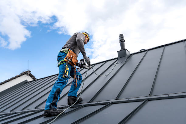 Best Storm Damage Roof Repair  in Tolono, IL
